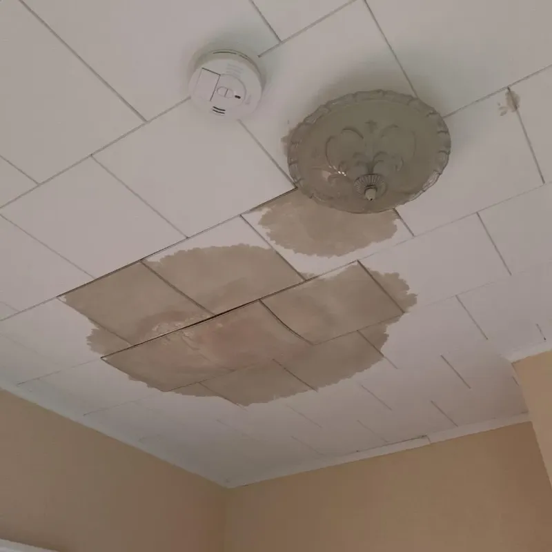 Ceiling Water Damage Repair in Northvale, NJ